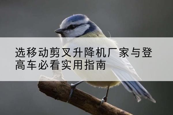 永和电动升降机厂家-选移动剪叉升降机厂家与登高车必看实用指南