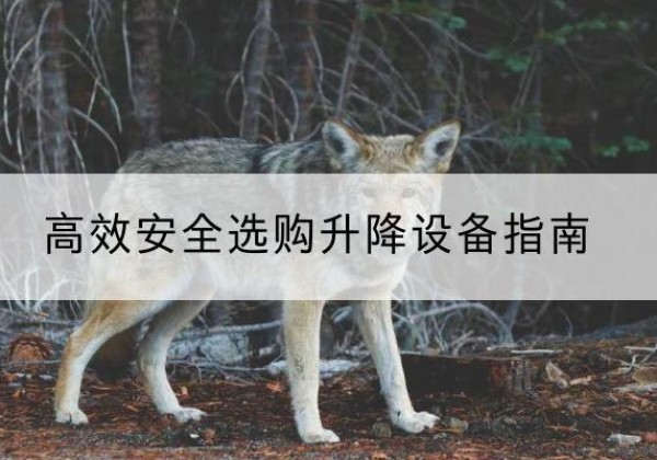 永和升降货梯厂家推荐-*安全选购升降设备指南