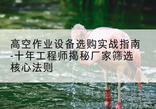 永和剪叉式升降机厂家-高空作业设备选购实战指南-十年工程师揭秘厂家筛选核心法则